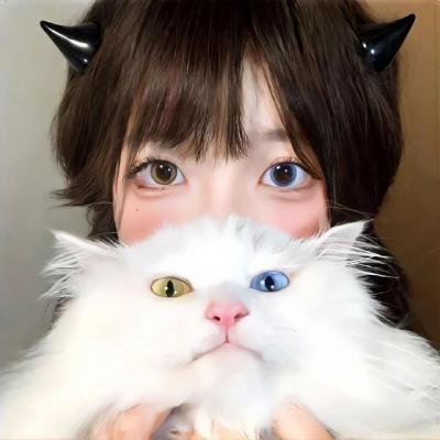 今冬不言情
